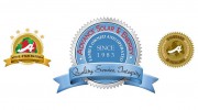 Advance Solar & Spa